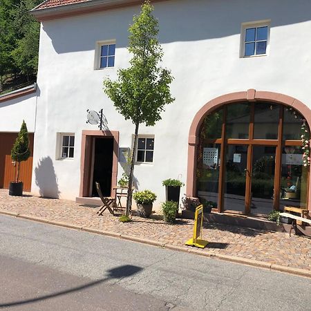 Ferienwohnung Trasse Belge Trassem Exterior foto