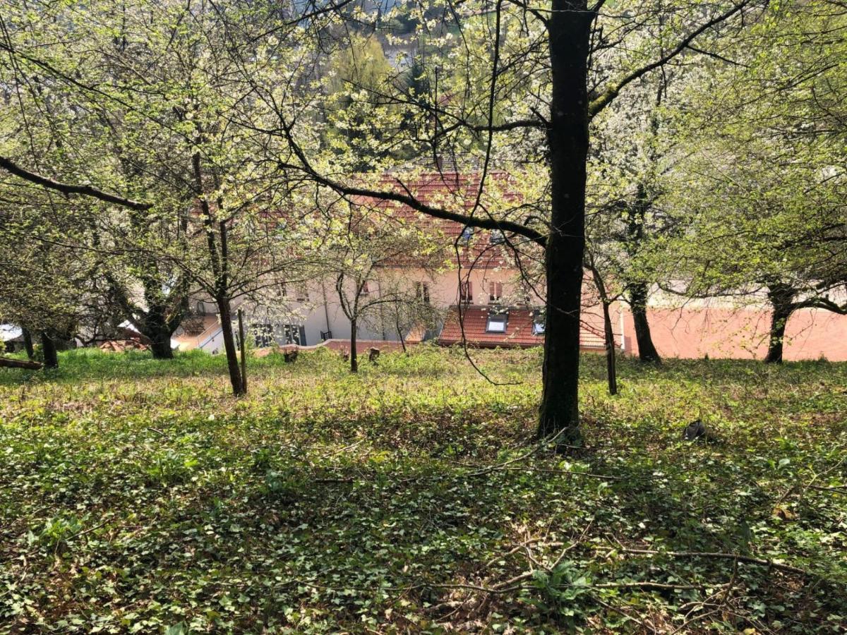 Ferienwohnung Trasse Belge Trassem Exterior foto